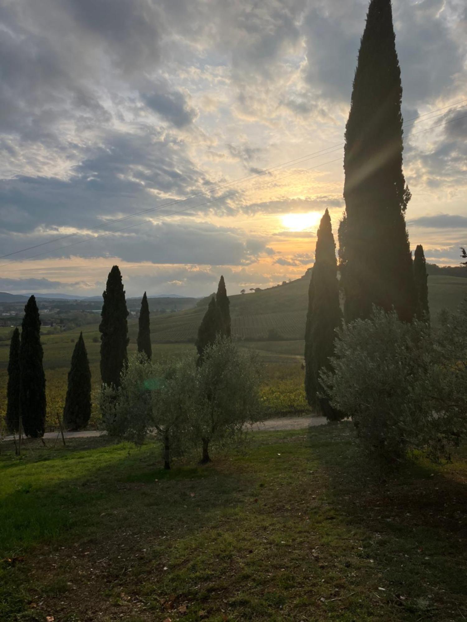 Agriturismo Casale Dello Sparviero 카스텔리나인키안티 외부 사진